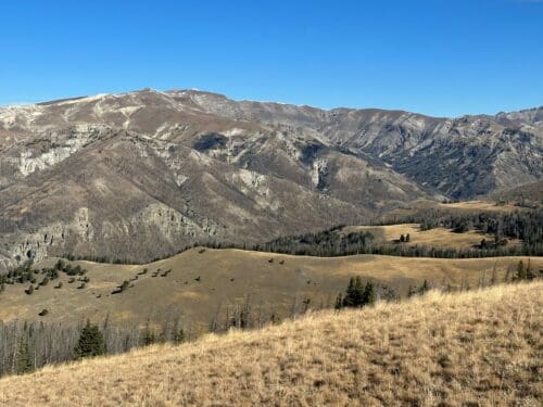 Elk country in Wyoming