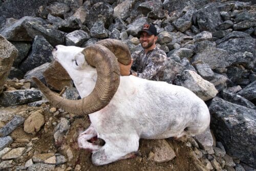 A truly amazing ram.
