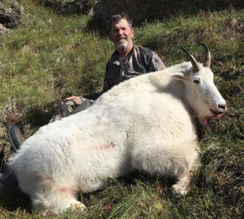 Early season Yukon mountain goat hunt