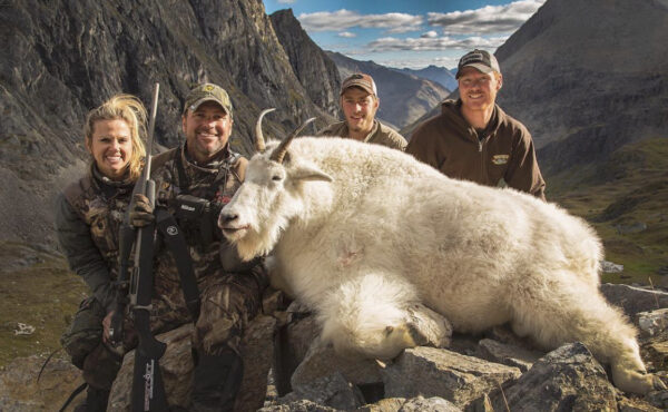 Trophy Mountain goat hunt in the Yukon