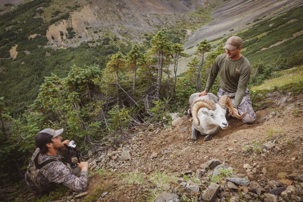 BBCB6 Yukon Dall Sheep » Outdoors International Taking a photo of a beautiful Yukon ram