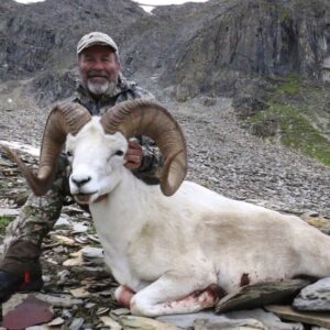 Premier Yukon Dall Sheep Hunts