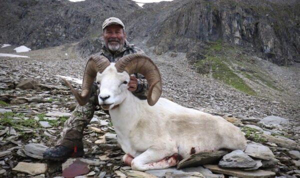 Premier Yukon Dall Sheep Hunts