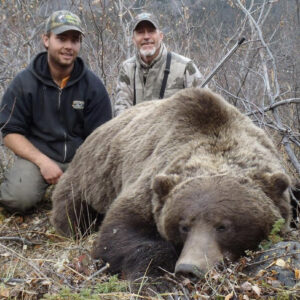 All Yukon grizzly hunts are spot and stalk in the fall or spring, or over a legally harvested gut pile in the fall.