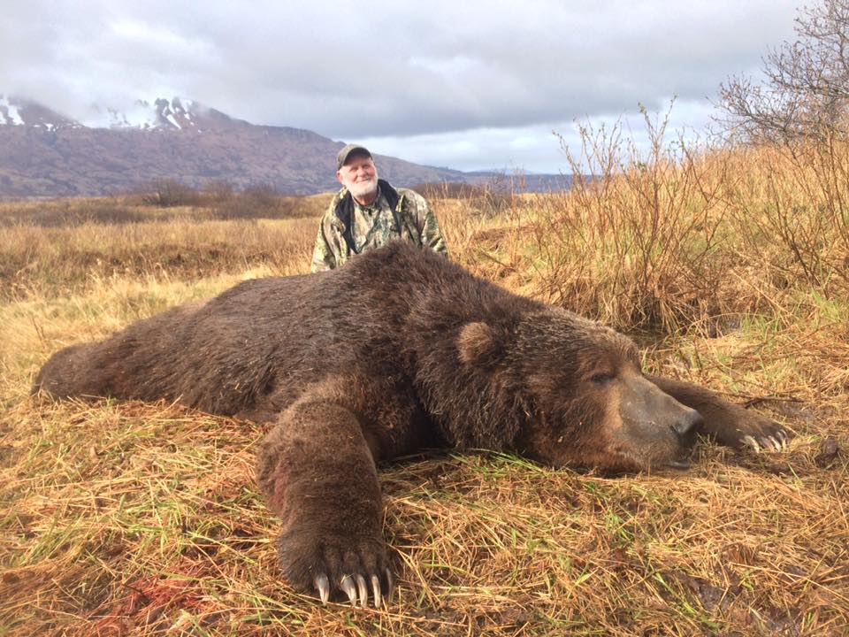 Brown bear hunting on Kodiak Island in Alaska