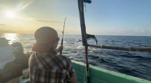 Fighting a sailfish