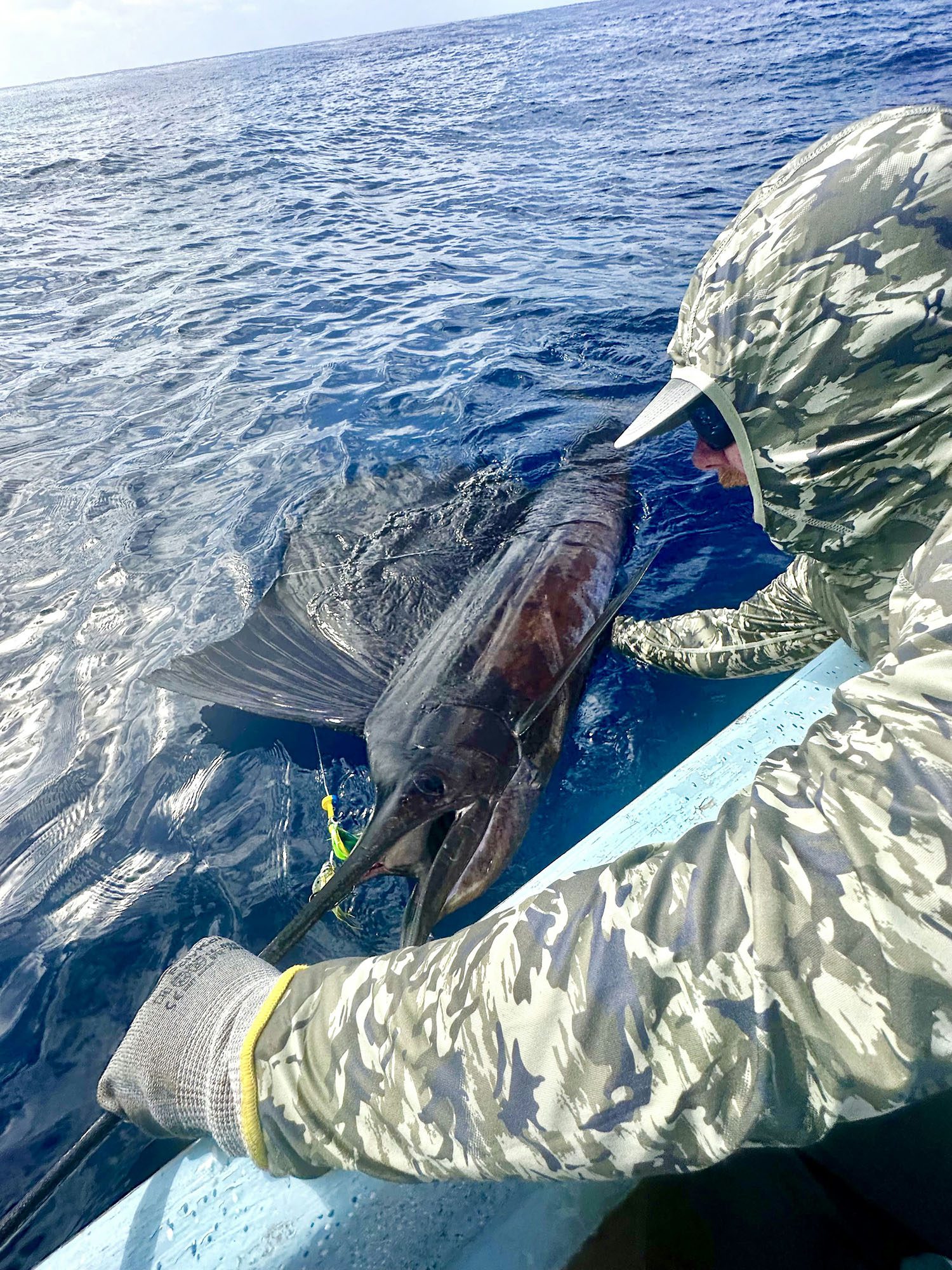 Evan Keene: Mexico Sailfish and Dorado Fly Fishing Report