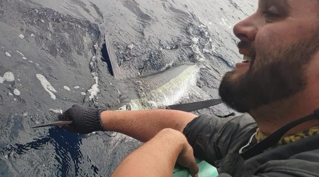 Marlin fishing in Mexico