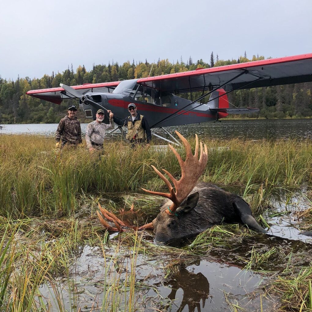DIY Moose Hunting in Alaska Hunters Plane SLO » Outdoors International Moose hunting in Alaska