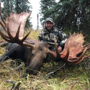 Massive Alaska Moose