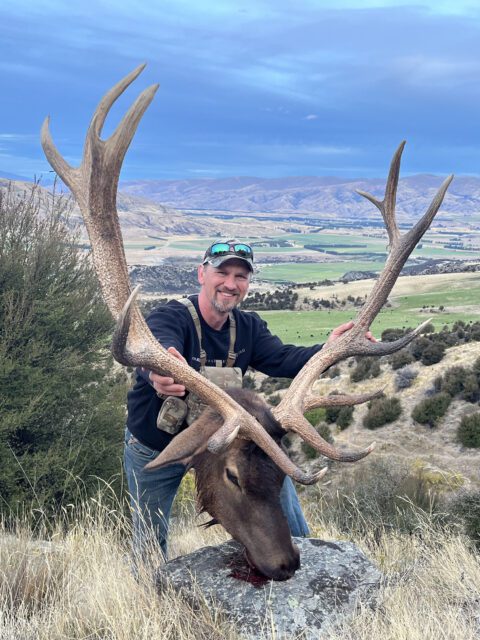 Wade with a giant New Zealand elk.