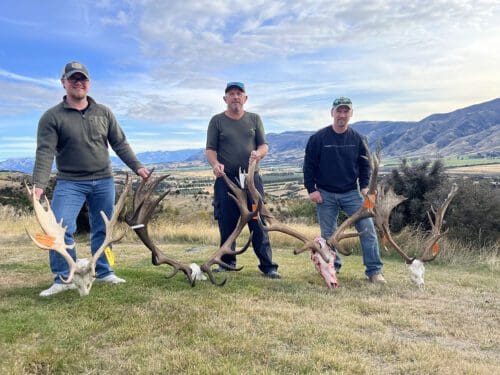 Wade Zuver New Zealand Fallow Red Stag Elk EANZ1 » Outdoors International Wade Zuver group in New Zealand with their trophies.
