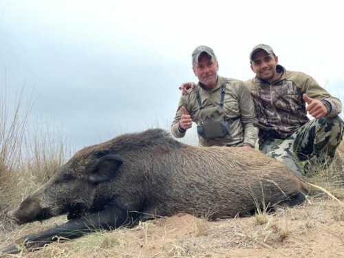 La Delfa took a great wild boar in Argentina.