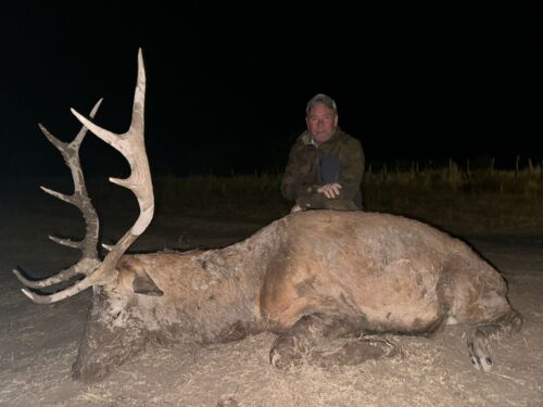 La Delfa with a great free range Argentina Red stag.