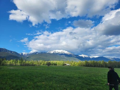 Spot and stalk bear hunting in British Columbia.