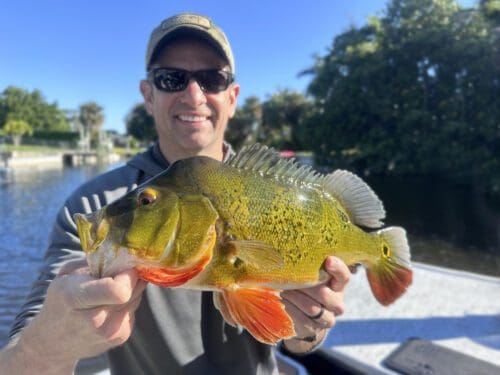 Fishing for peacock bass in Florida