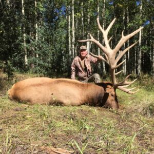 BBS Colorado High Fence Elk Hunting Estate » Outdoors International Colorado elk hunting estate