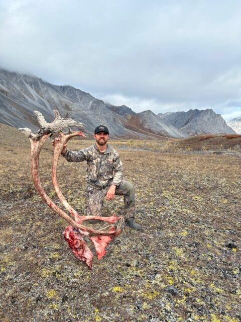 Caribou hunting the Brooks Range