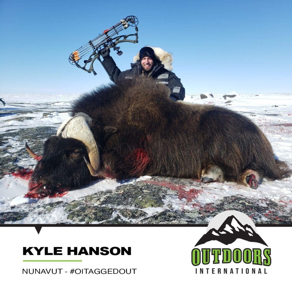Kyle Hanson Archery Nunavut Canada Muskox CNO oitaggedout » Outdoors International #oitaggedout