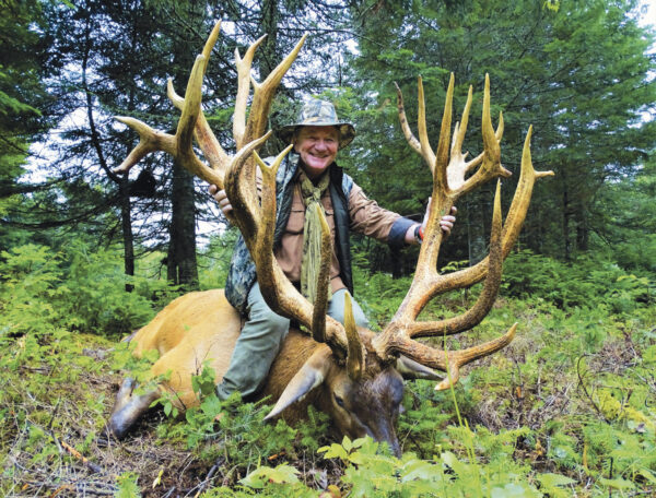 High fence elk hunting in Quebec