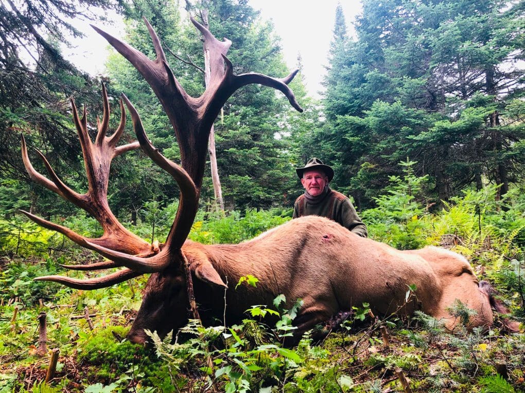 RAWE High Fence Elk Hunting in Quebec 500+ » Outdoors International High fence elk hunting in Quebec