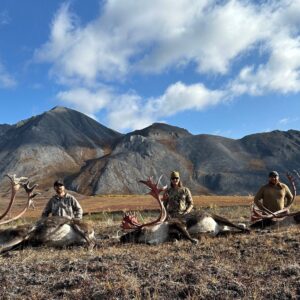 Caribou hunting in Alaska