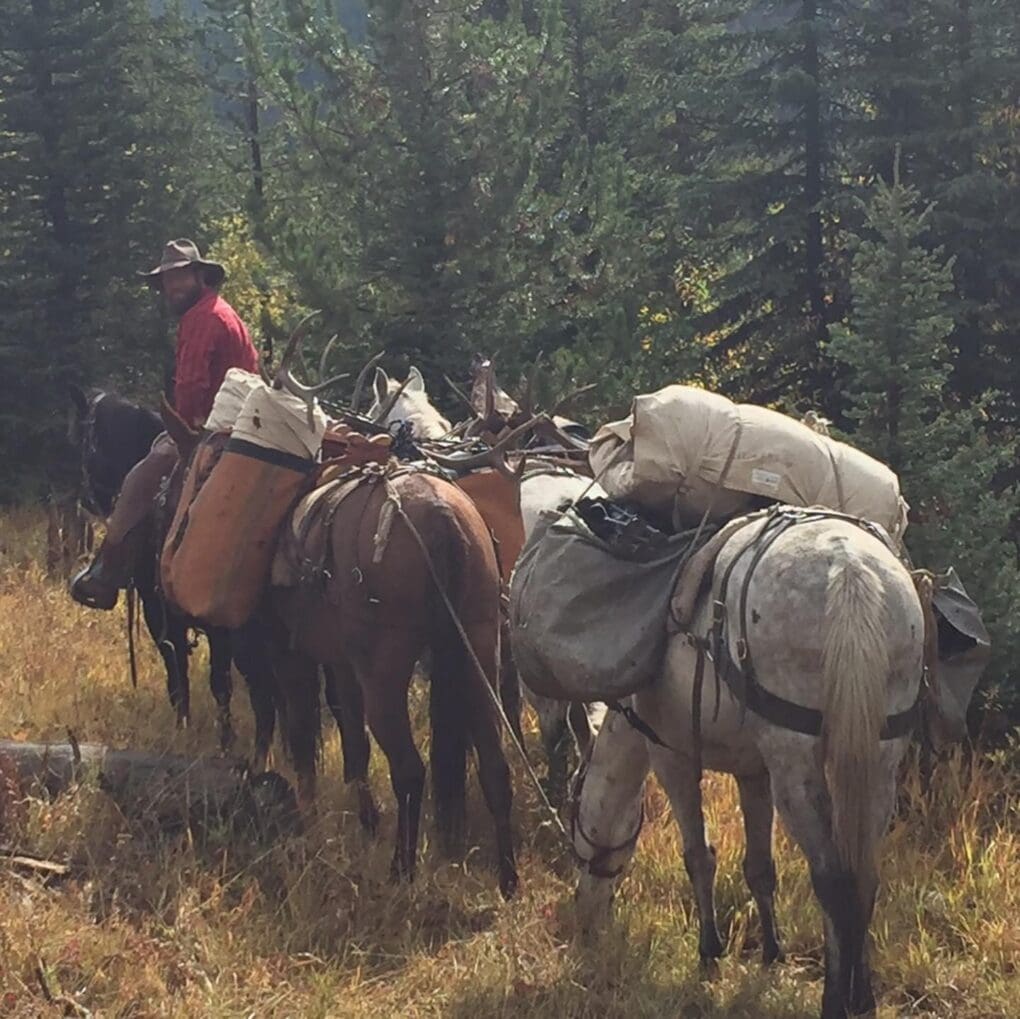 Our backcountry elk hunts in Montana are an incredible experience.