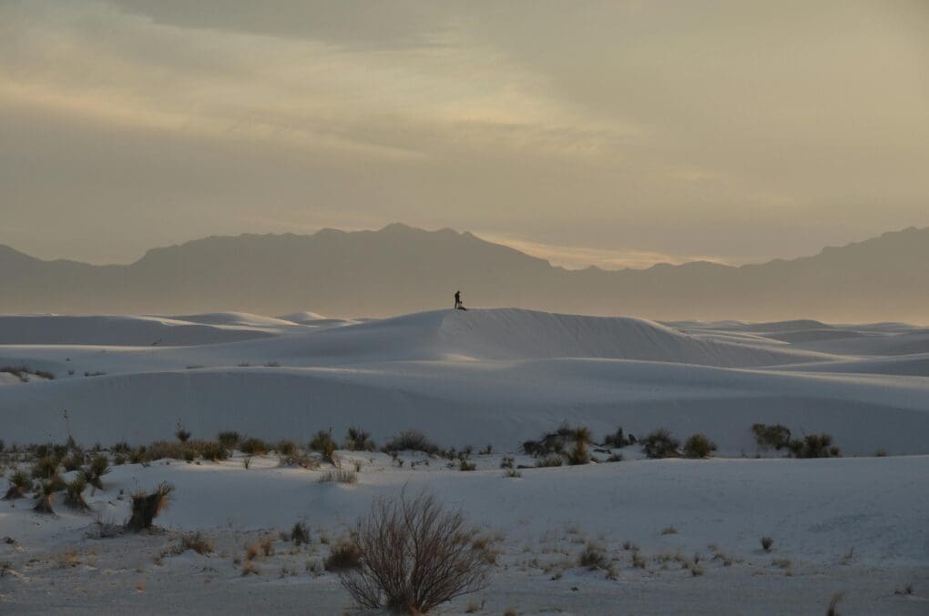 The variety of landscapes in New Mexico is astounding.