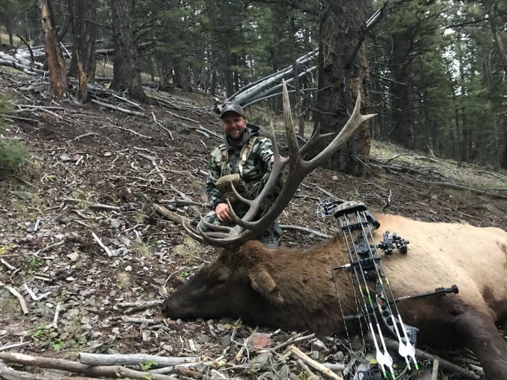 Montana elk hunting with a bow