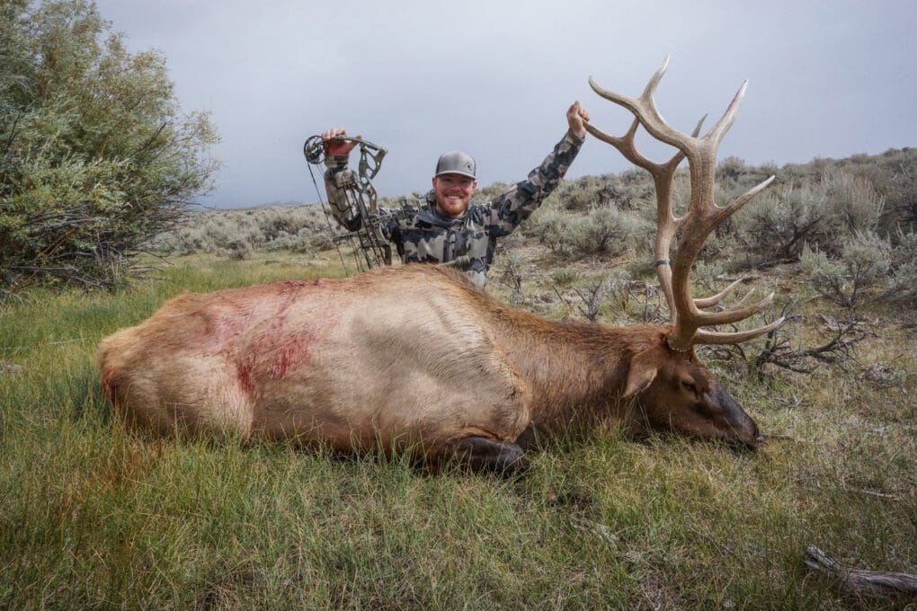 Archery Elk Hunting in Montana