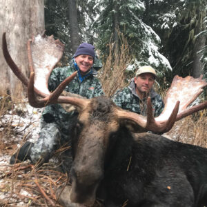 Montana moose hunting
