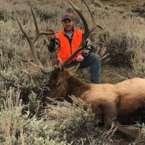 Montana Elk Hunting