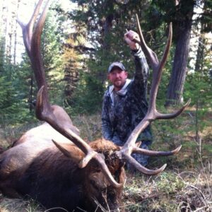 Montana elk hunting