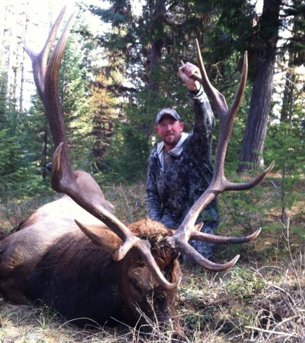 Montana elk hunting