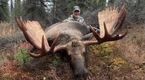 Nevada Crimmins Alaska Guided Moose Hunt in Unit 13 SLO » Outdoors International Nevada Crimmins with his trophy bull from Unit 13.