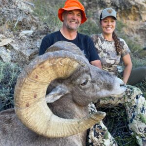 Wyoming sheep hunting outfitters