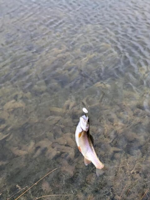 Fishing in Colorado