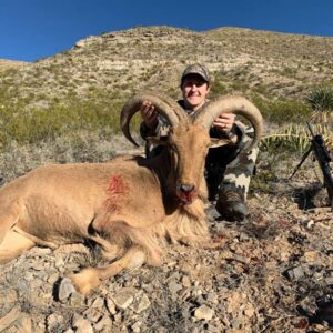 New Mexico Aoudad Hunting
