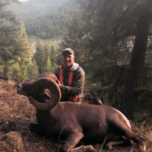 Montana Bighorn Sheep Hunting