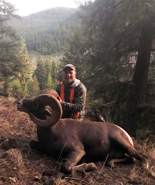 Montana Bighorn Sheep Hunting