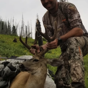 California Blacktail Deer Hunting
