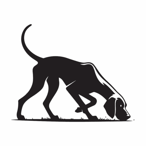 Hound Bird Dog Icon » Outdoors International