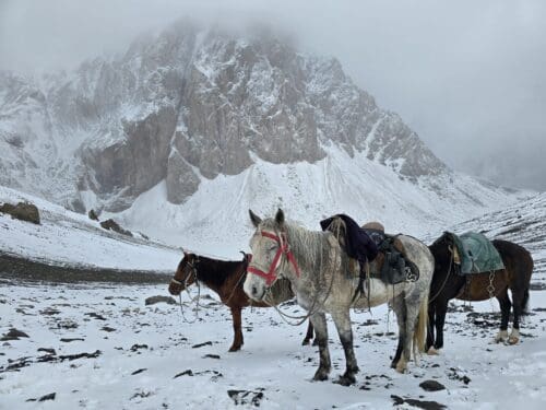 Hunting on Horses in Kyrgyzstan