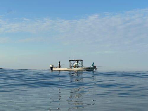 Mexico offshore fishing BLT1 » Outdoors International Offshore fishing pangas