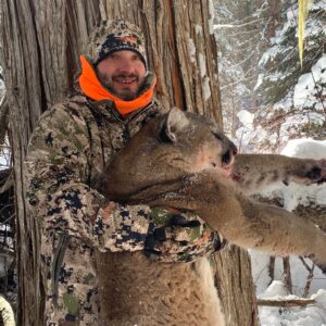 Montana Mountain Lion Hunting LOC4