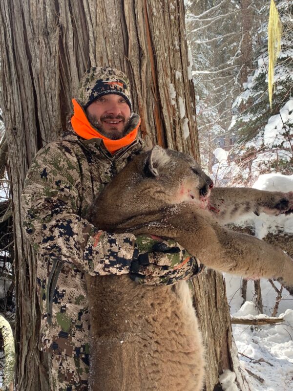 Montana Mountain Lion Hunting LOC4