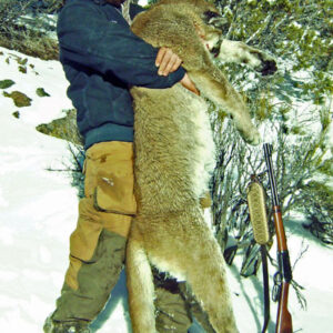 Nevada mountain lion hunting