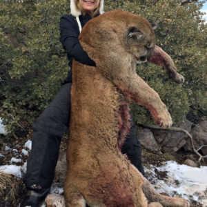 Nevada mountain lion hunting