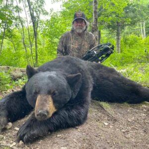 New Brunswick Black Bear Hunting Lodge DYRO1 » Outdoors International New Brunswick bear hunt with a crossbow.