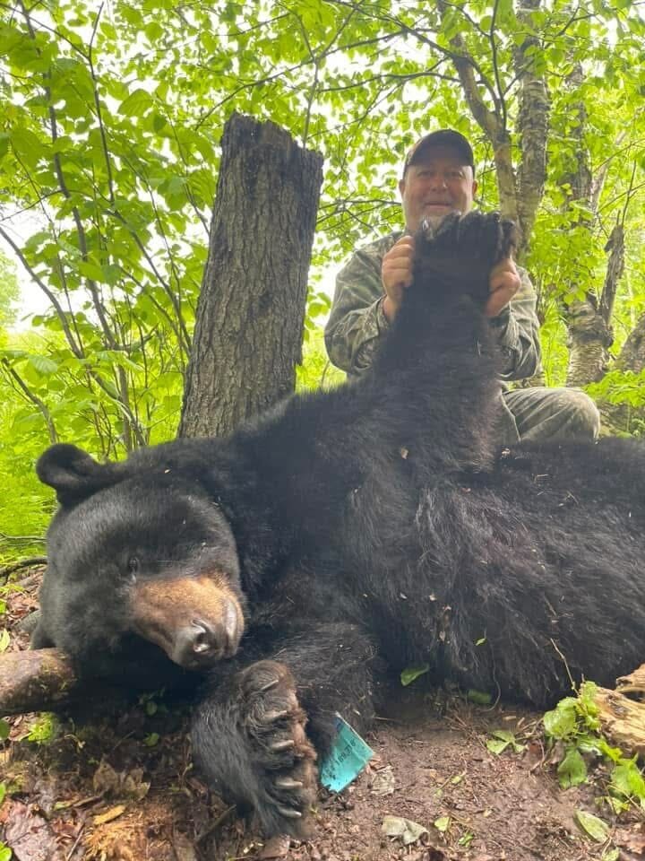 New Brunswick Black Bear Hunting Lodge DYRO1 » Outdoors International New Brunswick Black Bear Hunting Lodge